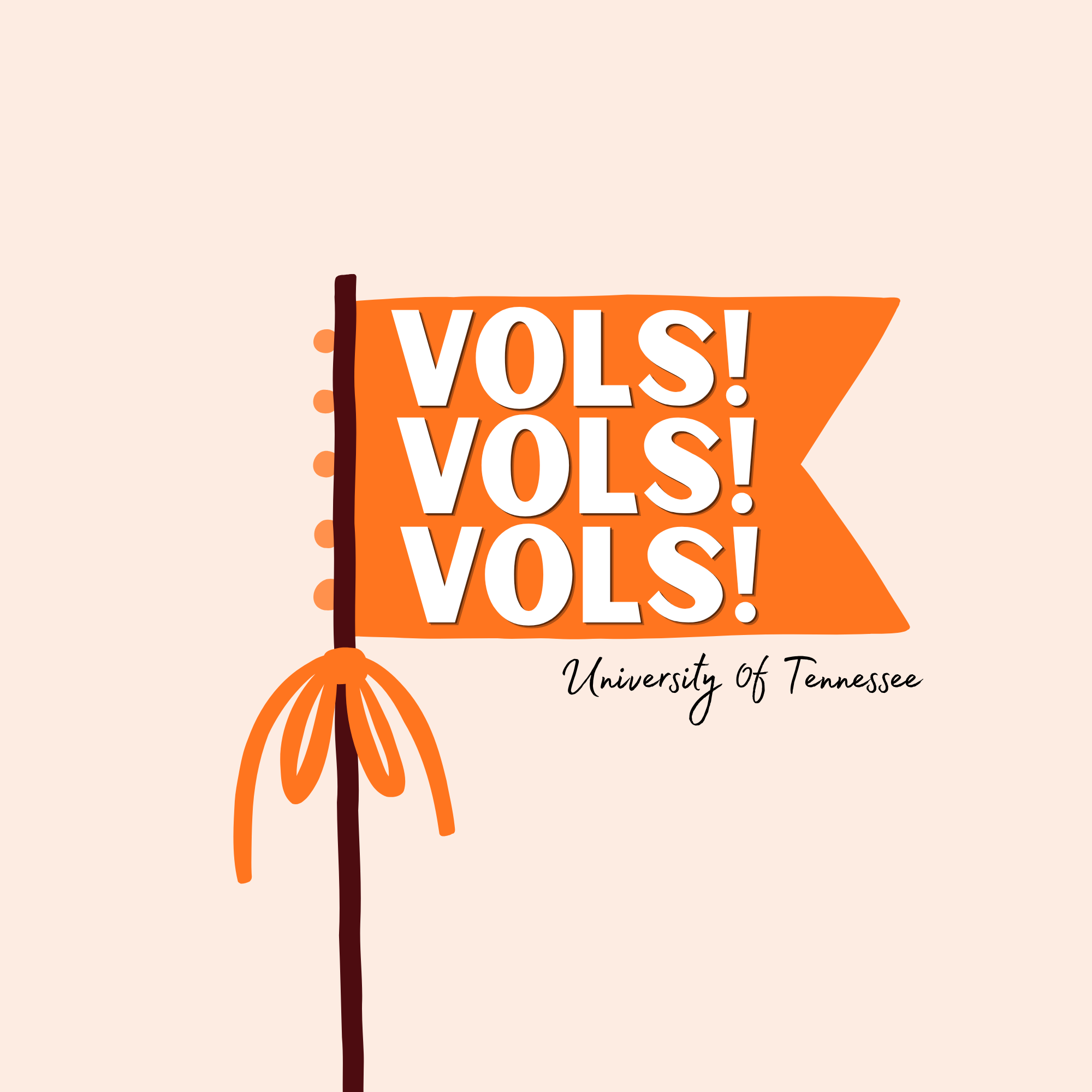 VOLS FLAG