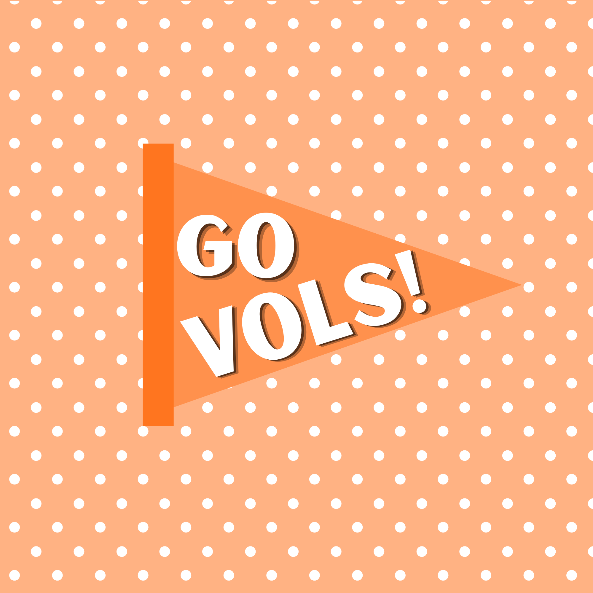 VOLS FLAG