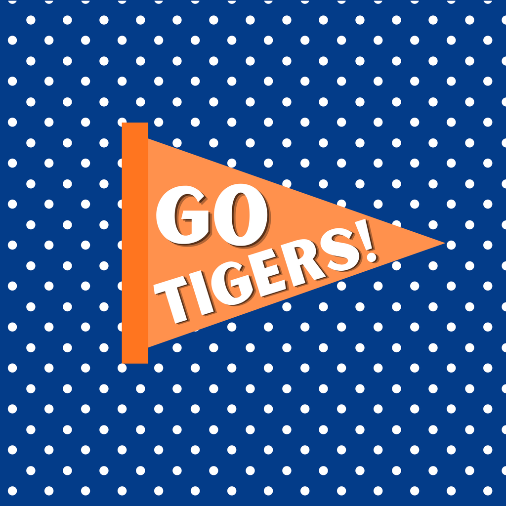 Auburn Flag 2
