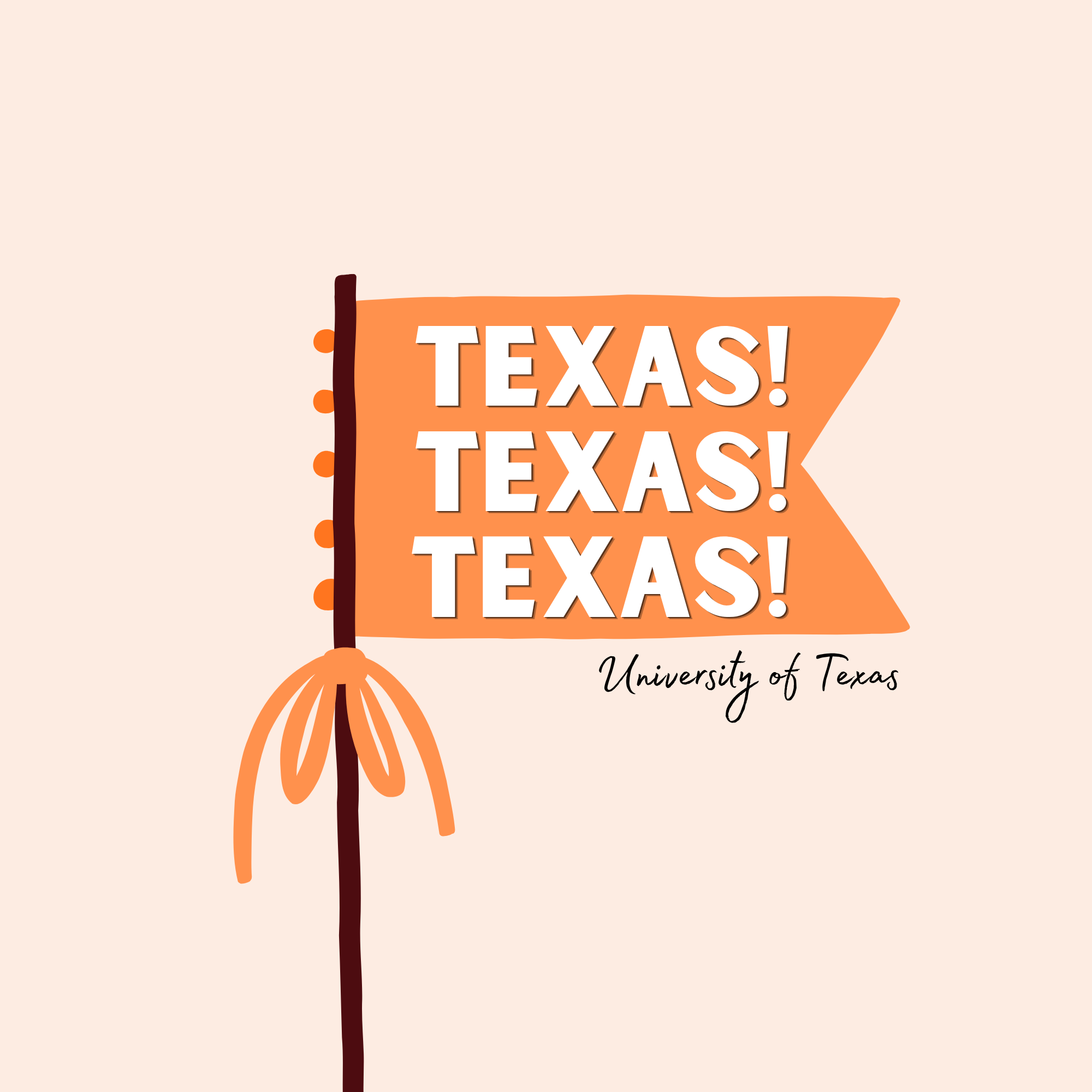 TEXAS FLAG
